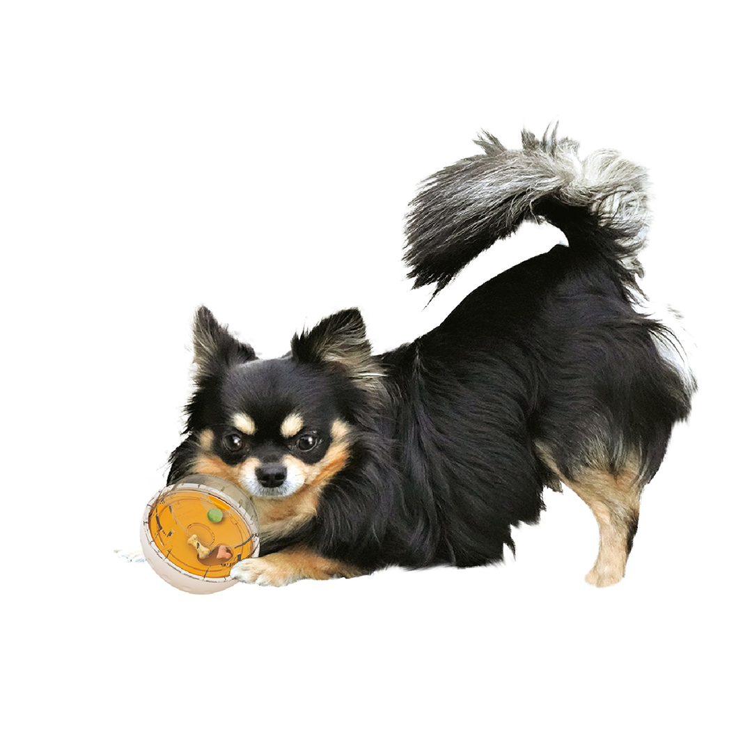 Doggyman Treat Dispensing Dog Toy