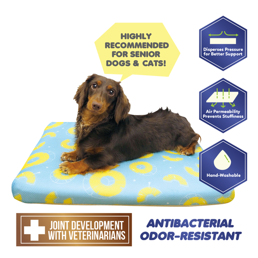 Senior-friendly High Resilience Bed S