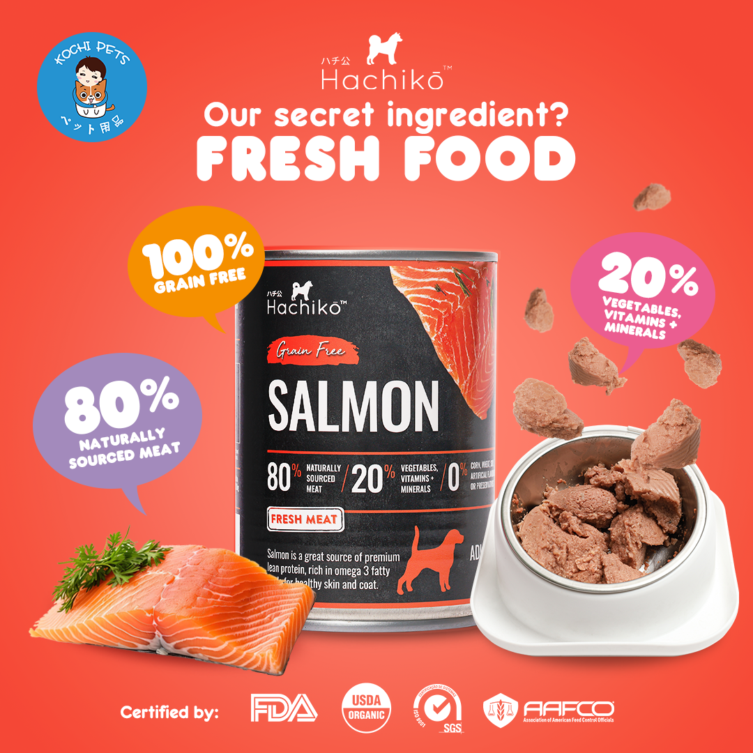 Hachiko Salmon Canned Wet Dog Food (Grain Free) 375g